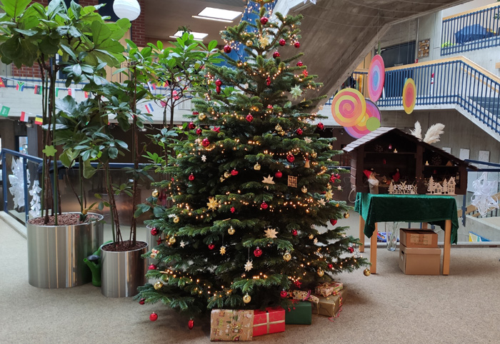 Wir schmücken unseren Weihnachtsbaum