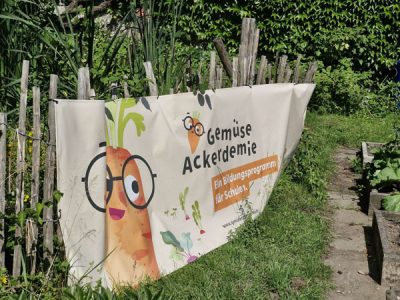 Auch in den Ferien wächst es in unserm Schulgarten