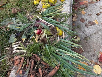 Schulgarten abgeerntet und winterfest gemacht